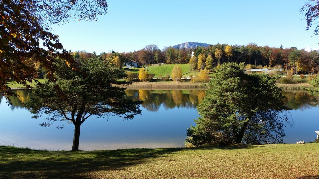 Casa Pederzolli - Villa Lagolo di Calavino ภายนอก รูปภาพ